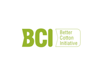 BCI logo